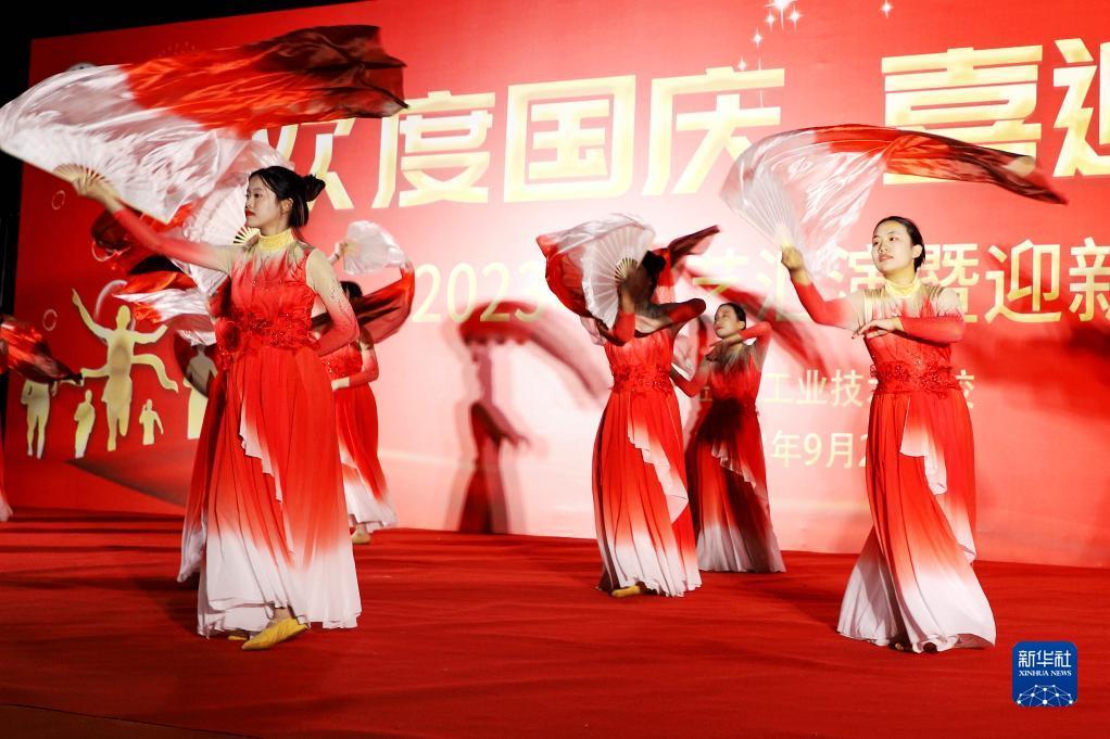 大发贝斯特是什么